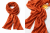 5147CAEA-8B6D-4DCA-8F28-1AD3B0E380E6.PNG
